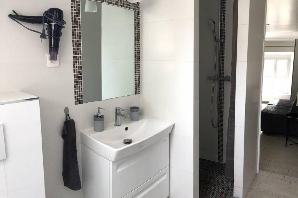 Duplex Bellifontain Au Coeur De Fontainebleau Διαμέρισμα Εξωτερικό φωτογραφία